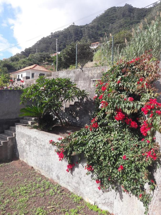 Вілла Panoramic Ocean View House Sao Roque Do Faial Екстер'єр фото